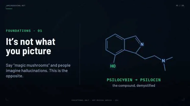 Research explainer scene 01: What the research actually examines